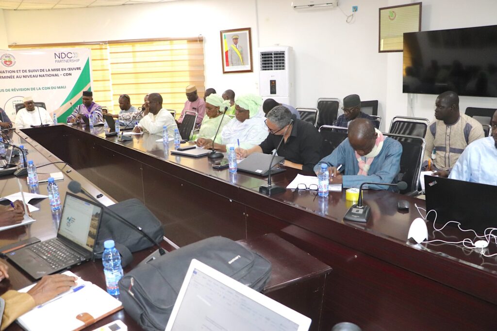 Tenue de la première session de l&rsquo;année 2025 du Comité de coordination et suivi de mise en oeuvre de la (CDN) révise du Mali !
